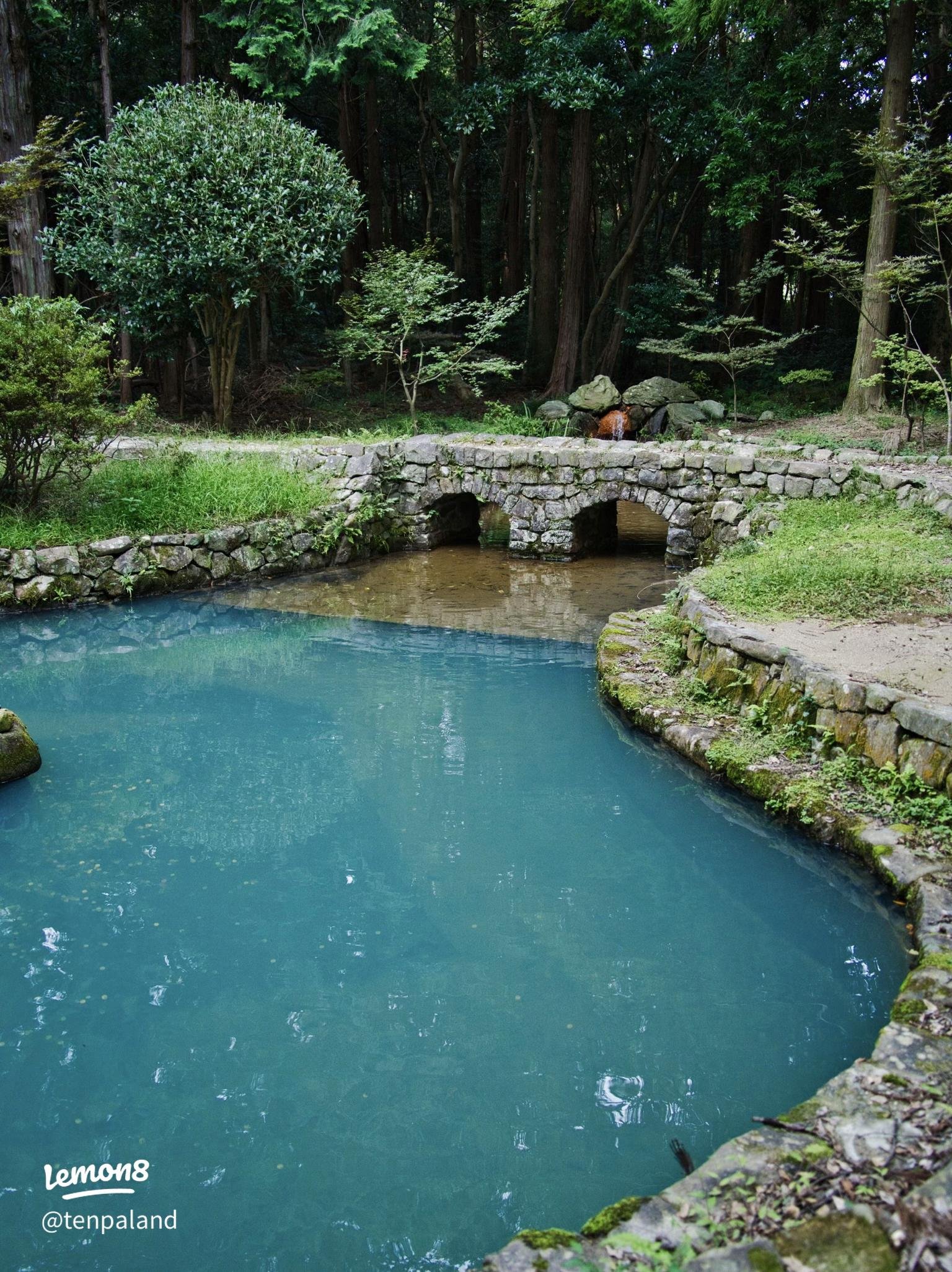 🏯 흥원사 (코겐지) 이미지 3